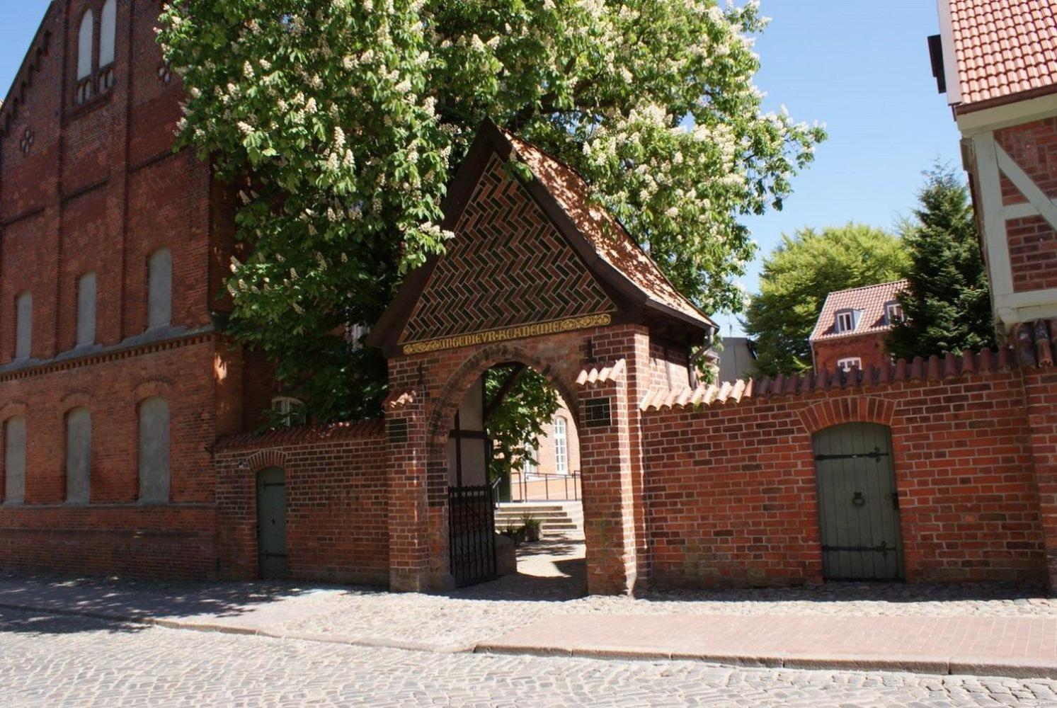 Scholle - Abc124 *